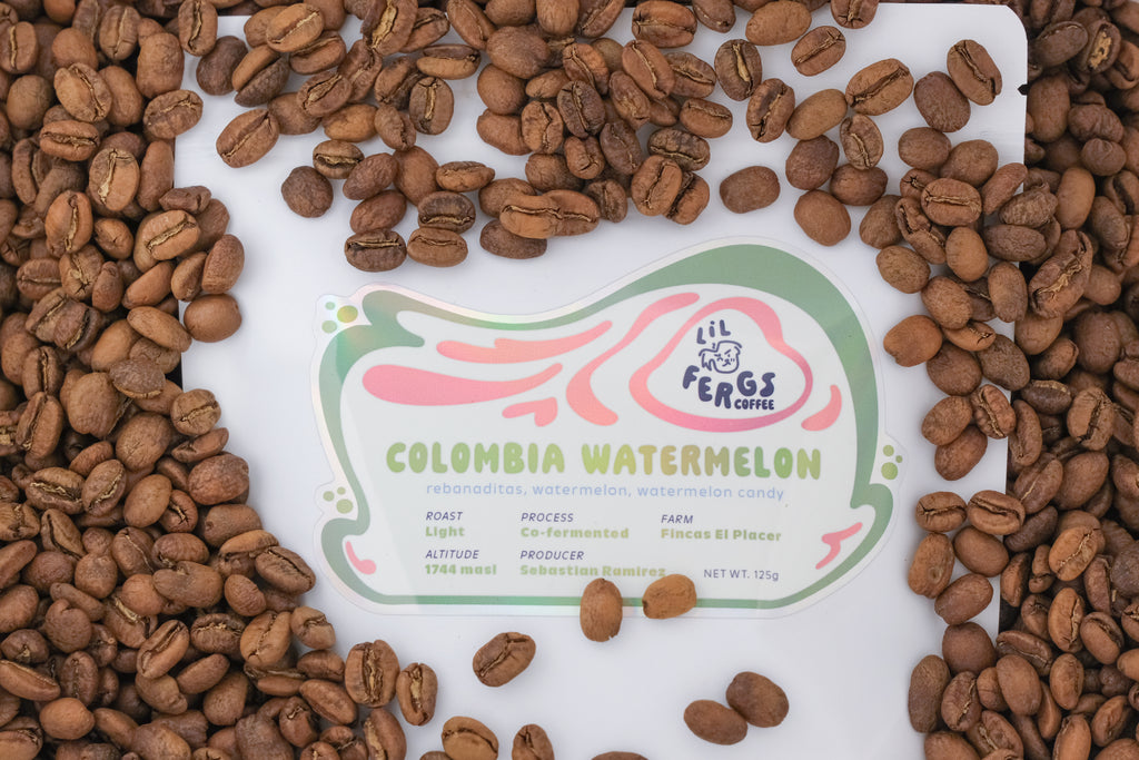 Sebastian Ramirez, Colombia Watermelon Co-Ferment